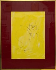 Enrico colombotto rosso usato  Torino