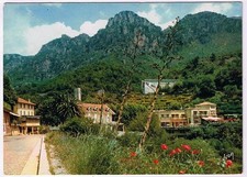 Postcard pont loup d'occasion  Expédié en Belgium