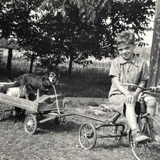 Vintage photograph little for sale  Littlestown