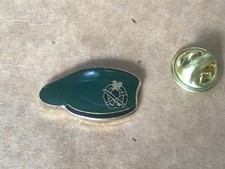 Pins beret vert d'occasion  La Crau
