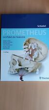 Prometheus lernpaket anatomie gebraucht kaufen  Bad Staffelstein