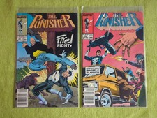 The punisher 26 gebraucht kaufen  Hünxe