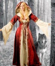 Mittelalter kleid brautkleid gebraucht kaufen Mittelalter kleid brautkleid gebraucht kaufen  Florstadt