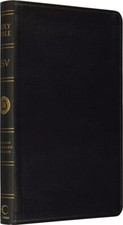 Holy bible anglicized for sale  RIPON