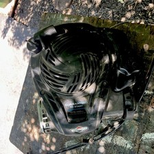 Briggs stratton 550ex for sale  Maryville