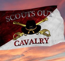Scouts cavalry flag for sale  Waterloo