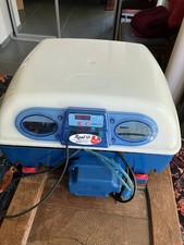 Borotto real egg for sale  COLWYN BAY