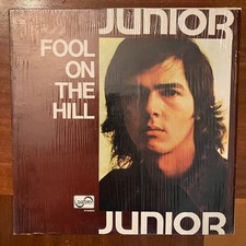Junior fool hill for sale  Norfolk