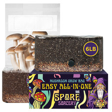 One mushroom grow for sale  Scottsdale