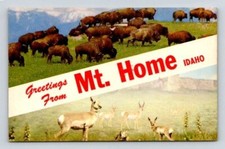 Mountain home idaho for sale  Berlin