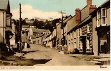 Pembrokeshire dogmaels high for sale  COLWYN BAY