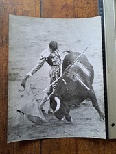 Ludo bert spanish d'occasion  Châteauneuf-en-Thymerais