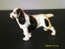Vintage english springer for sale Vintage english springer for sale  Dornsife