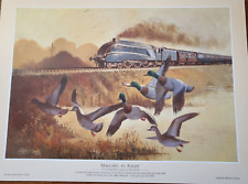 Alan ward mallard for sale  WOLVERHAMPTON