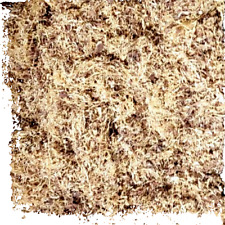 500gr tabac blond d'occasion  Rostrenen