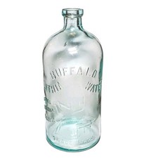 Antique 1890 buffalo for sale  Rutland