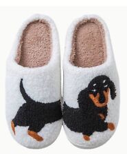 Sale new dachshund for sale  NORTHAMPTON