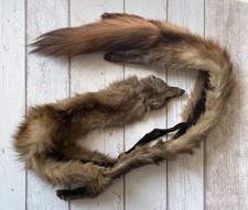 Small light brown for sale  ALTON