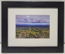 Art moutain view for sale  Montgomery