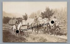 Rppc guys horses for sale  Mechanicsburg