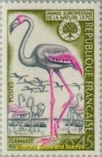EBS França 1970 - Ano de Proteção da Natureza - Flamingo - YT 1634 - MNH** comprar usado  Enviando para Brazil
