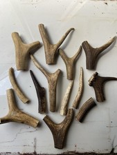 Red deer antler for sale  BALLYMONEY
