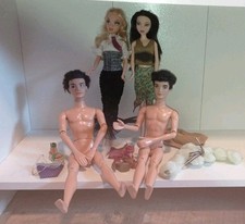 Scene barbie puppen gebraucht kaufen  Hardegsen