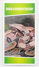 Carte cartatoto boa d'occasion  Nancy-