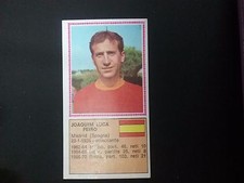 Album panini calciatori usato  Palo del Colle