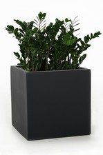 glasblumen gebraucht kaufen glasblumen gebraucht kaufen Wilhelmshaven