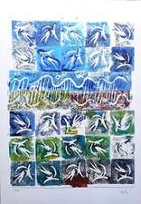 Diana campanelli grafica usato  Roma