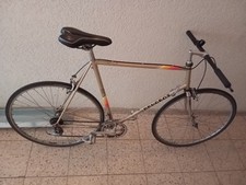 Rennrad speedbike strassenrad gebraucht kaufen  Vaihingen an der Enz