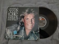 Modern Talking BLUE SYSTEM LP Vinyl SPAIN 1991 comprar usado  Enviando para Brazil