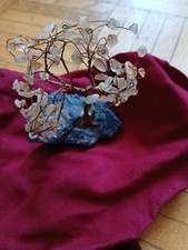 Einzigartig schöner bonsai gebraucht kaufen  Frankfurt am Main