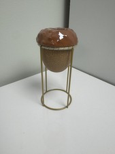 Acorn air plant for sale  Grayslake