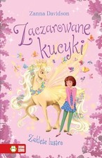 Używany, Zaczarowane kucyki Zaklęte lustro | Davidson Zanna | état très bon na sprzedaż  Wysyłka do Poland