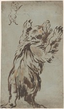 Mix and Match Studies Of A Bear Drink Coaster, usado comprar usado  Enviando para Brazil