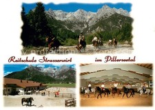 Ulrich pillersee reitschule gebraucht kaufen  Deutschland