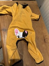 French bulldog for sale  ENFIELD