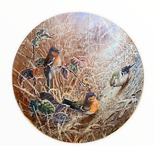 Coalport collectors decorative for sale  LONDON