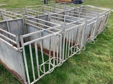 Calf rearing lambing for sale  CHORLEY