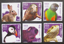 rspca for sale rspca for sale PLYMOUTH