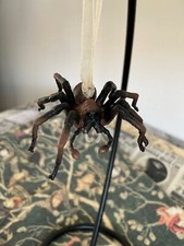 Harry potter hagrid for sale  PETERBOROUGH
