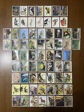 Mix animals mammiferi usato  Valva
