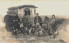 Royston. macedonian gipsies for sale  YORK