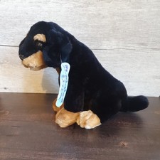 Cuddles time doberman for sale  BENFLEET