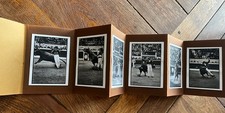 Photographies suite torero d'occasion  Annonay