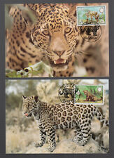 World Wildlife Fund 1983 Belize/Jaguar Panthera Onca Em 4 Lindas Mk Mc comprar usado  Enviando para Brazil