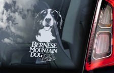 Bouvier bernois autocollant d'occasion  Expédié en France
