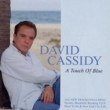 David cassidy touch for sale  STOCKPORT